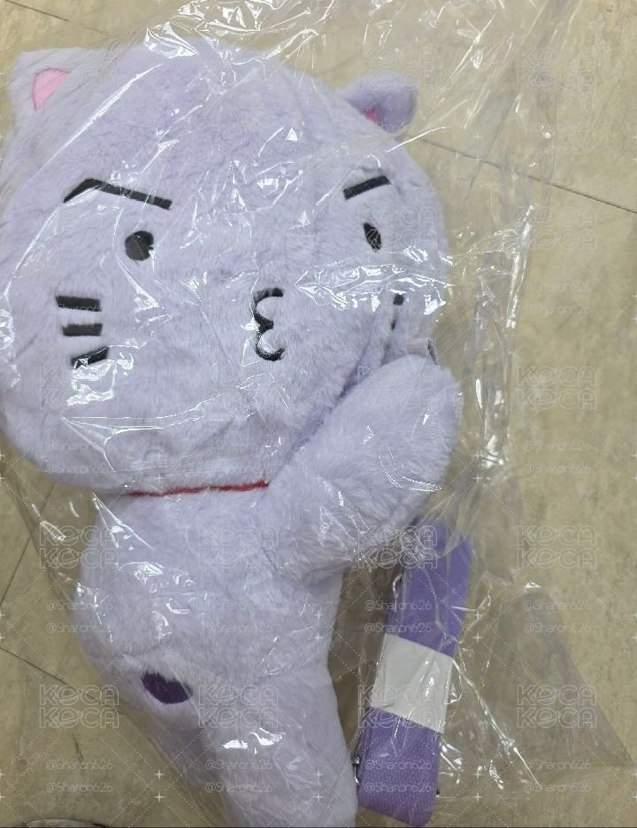 現貨+預購26' 飯咪 特大娃 LIGHT STICK DOLL BAG