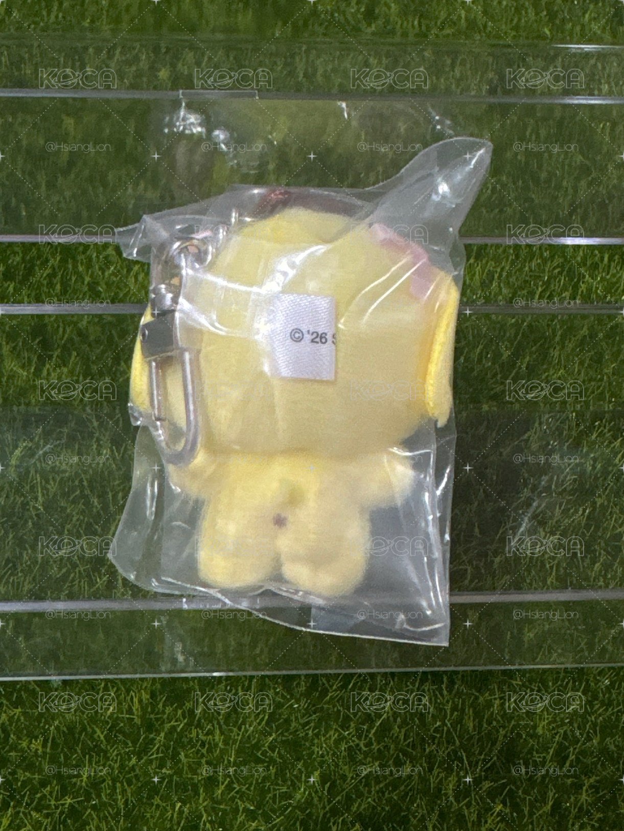 布丁小羊