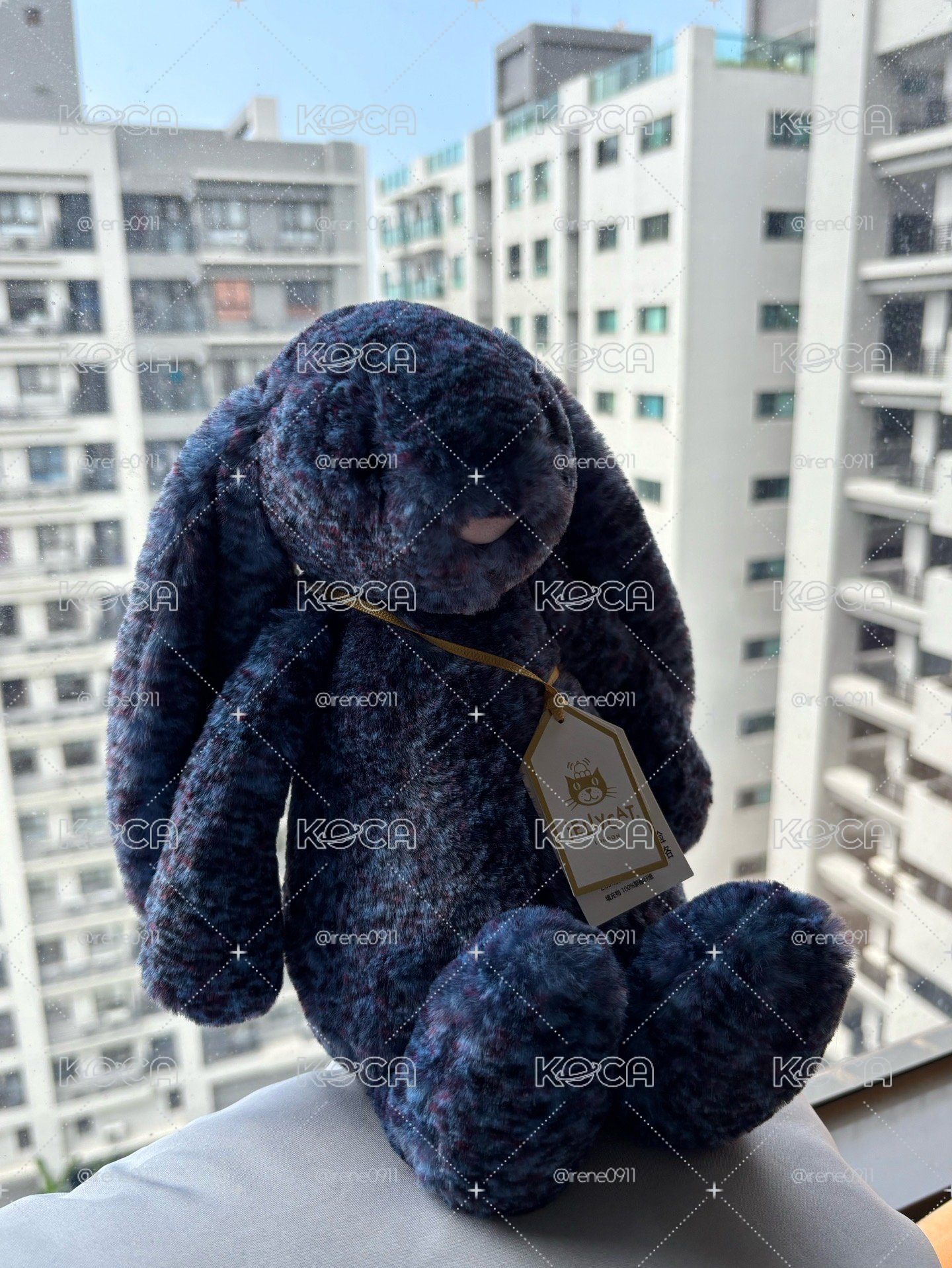 馬爾他藍兔兔