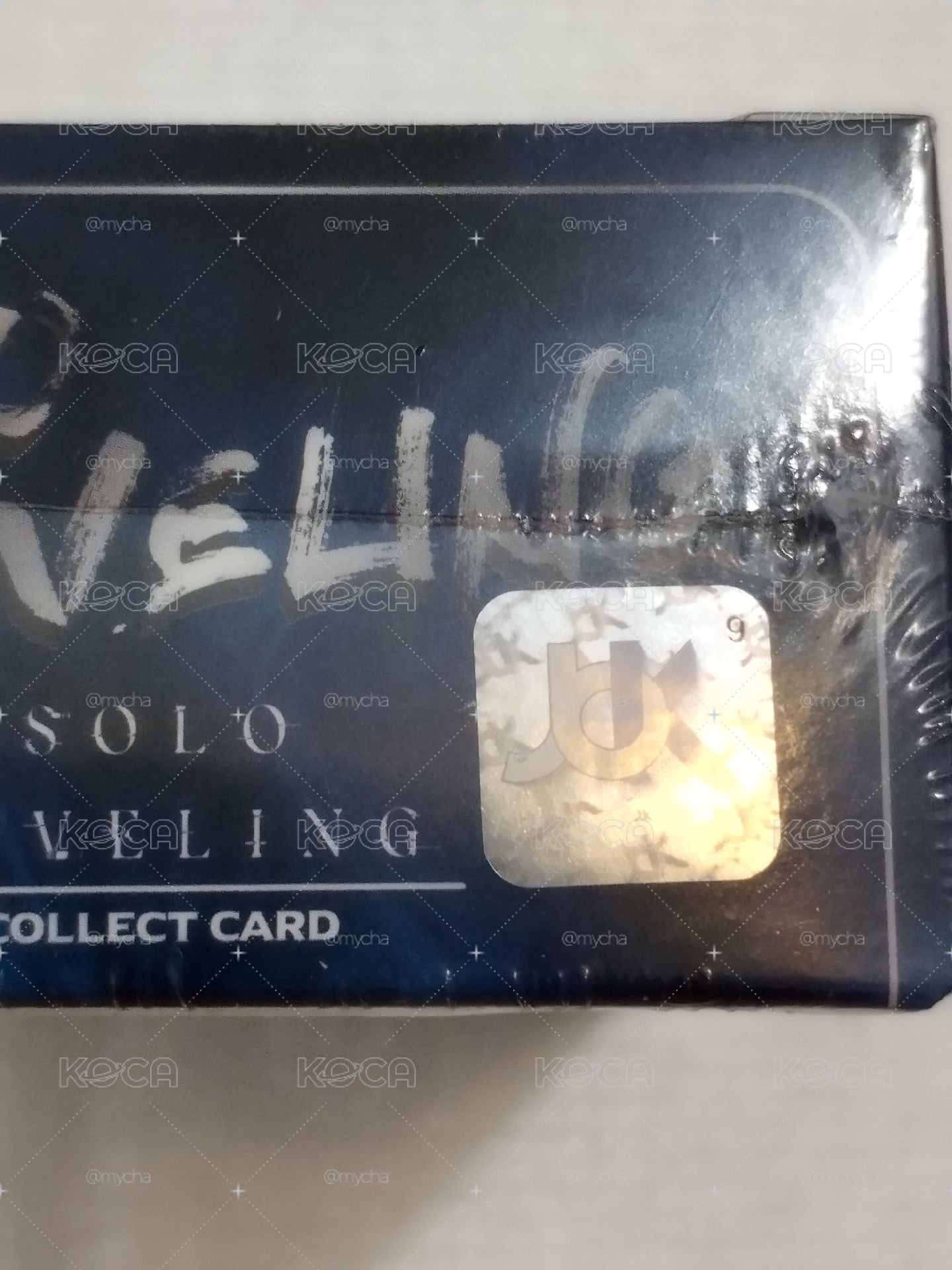 我獨自升級TCG Solo Leveling 第一彈收藏卡包 韓漫 官方正版