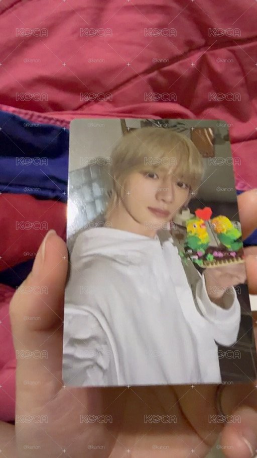 圭🦜