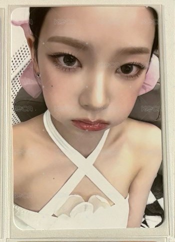 芭蕾豬包柚 有瑕