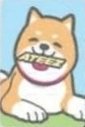 GH6 82EVENT Digipack POB card WOOF ver. Back