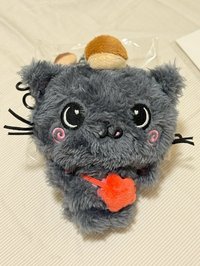 Kuri