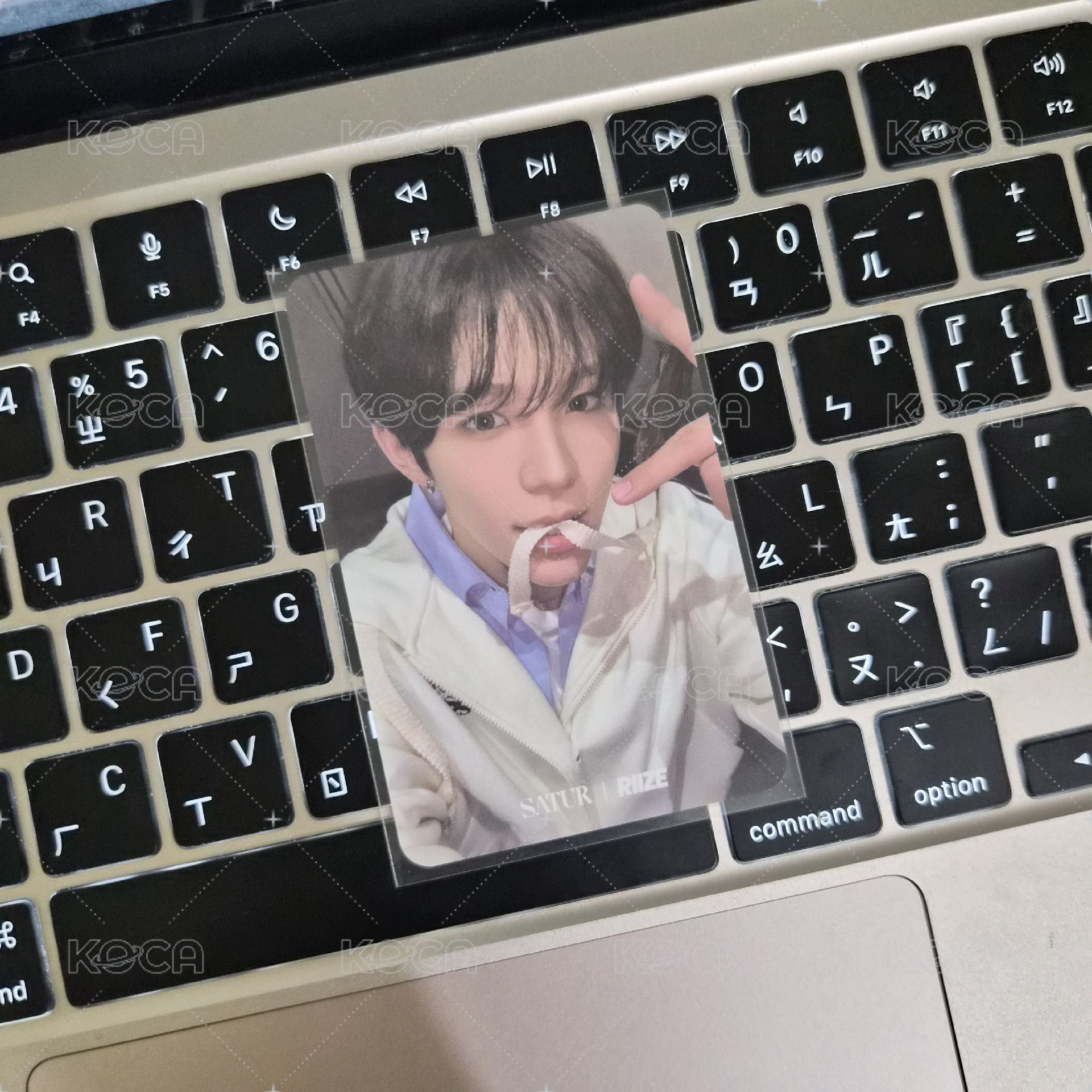 咬帶子🦦 需多帶任意金額2張