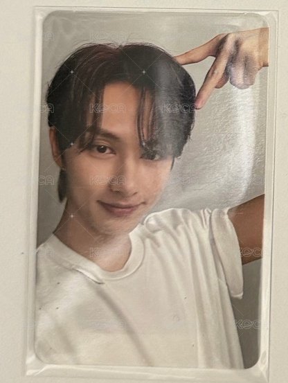 貓咪俊