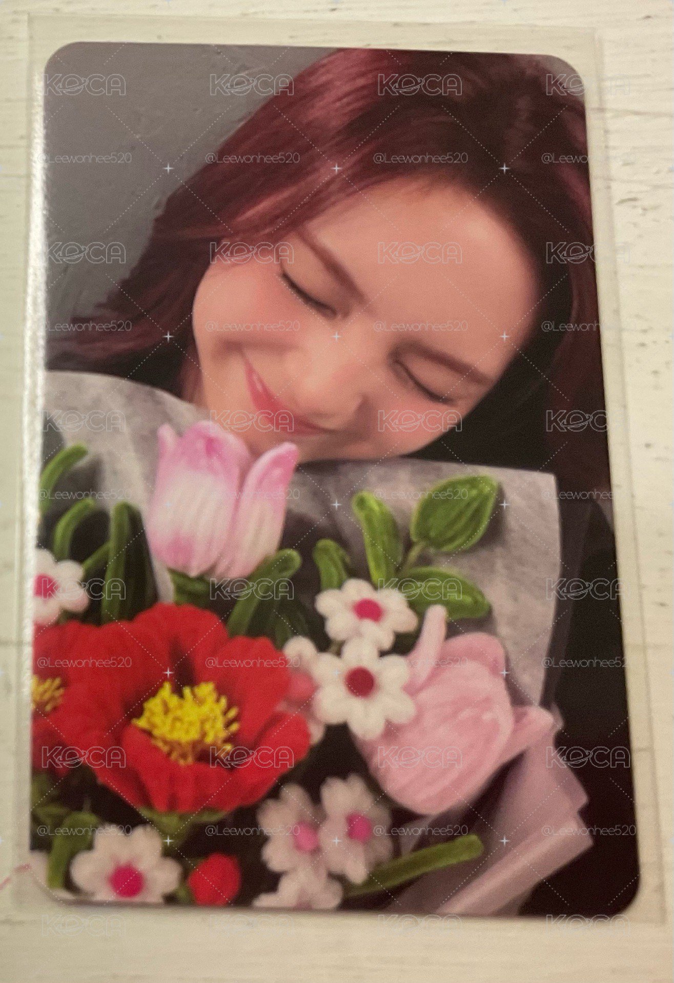 寶怪小盤