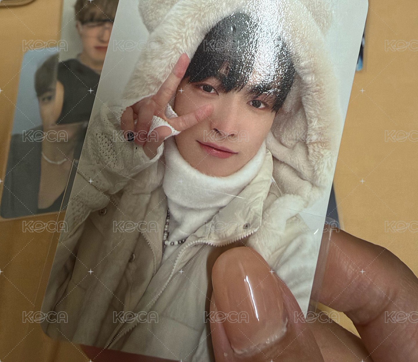 弘中小盤 水炸彈 黑白貓