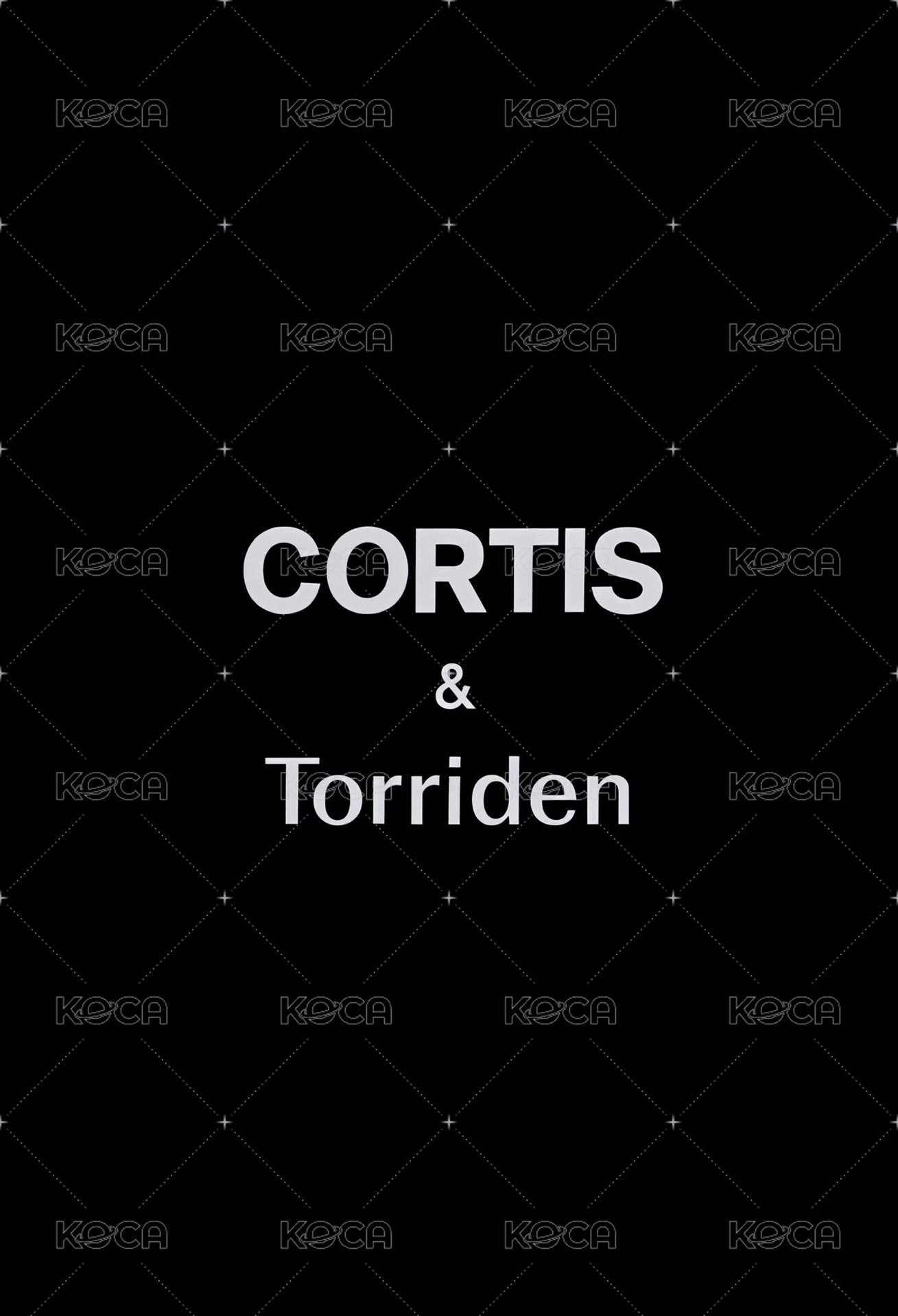 Torriden Endorsement card 團卡 Back
