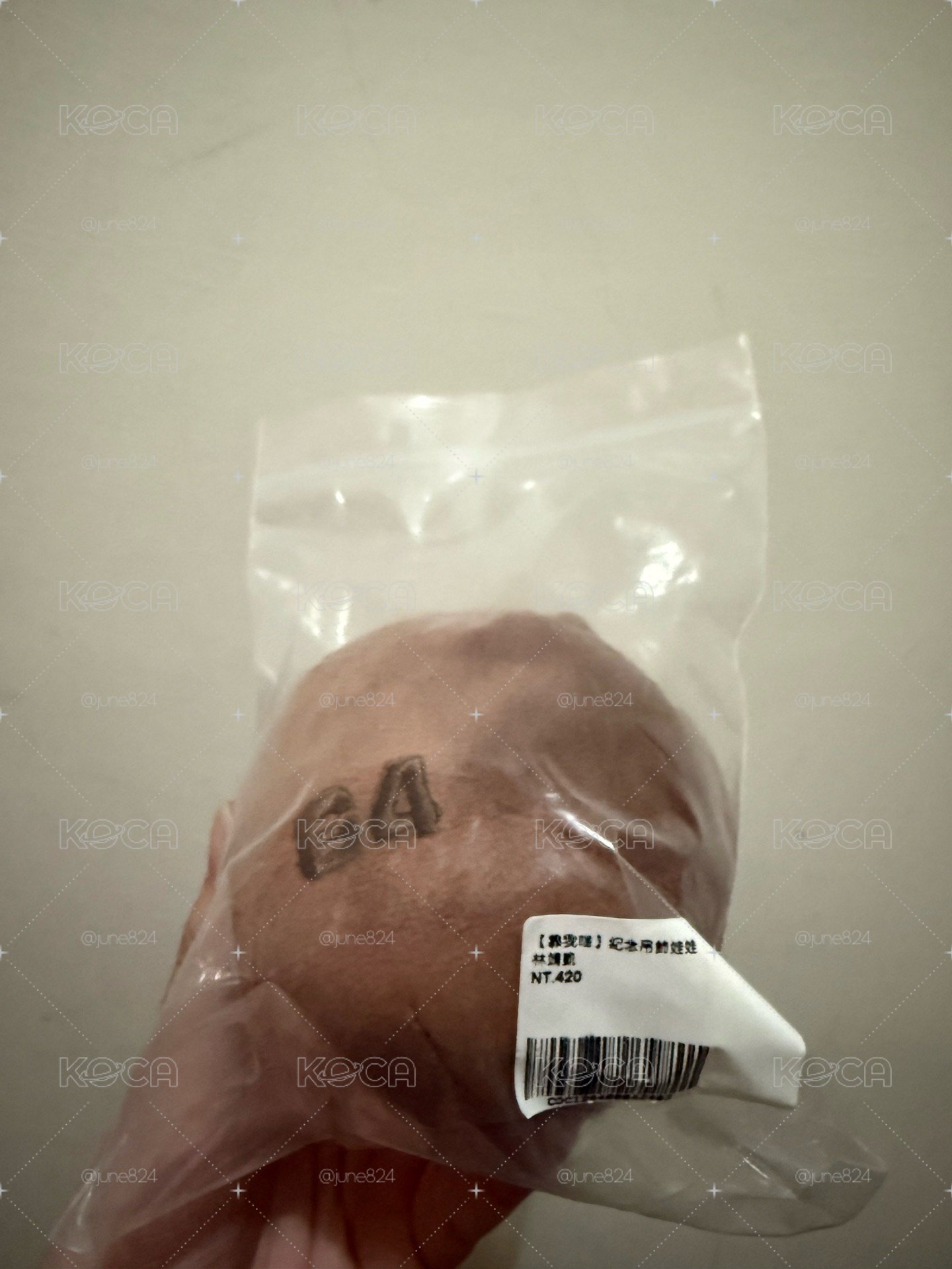 統一獅 大耳狗組不拆