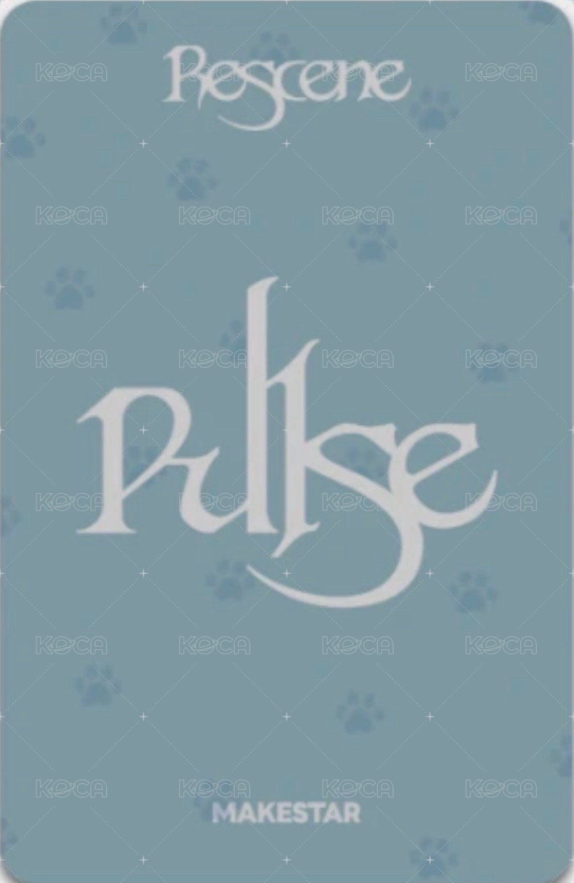 PULSE ms 1.0線上 小狗ver. Fansign card  Back