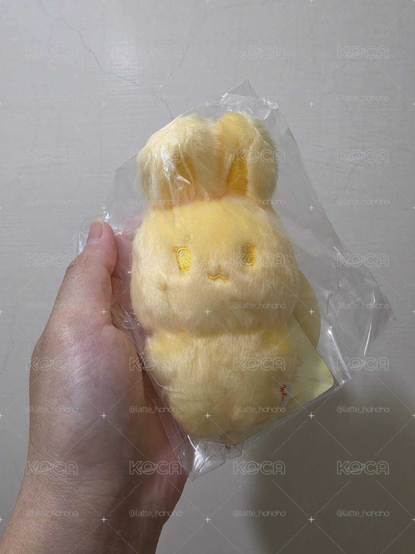 ANITEEZ IN COLOR 異色娃（*看敘述）