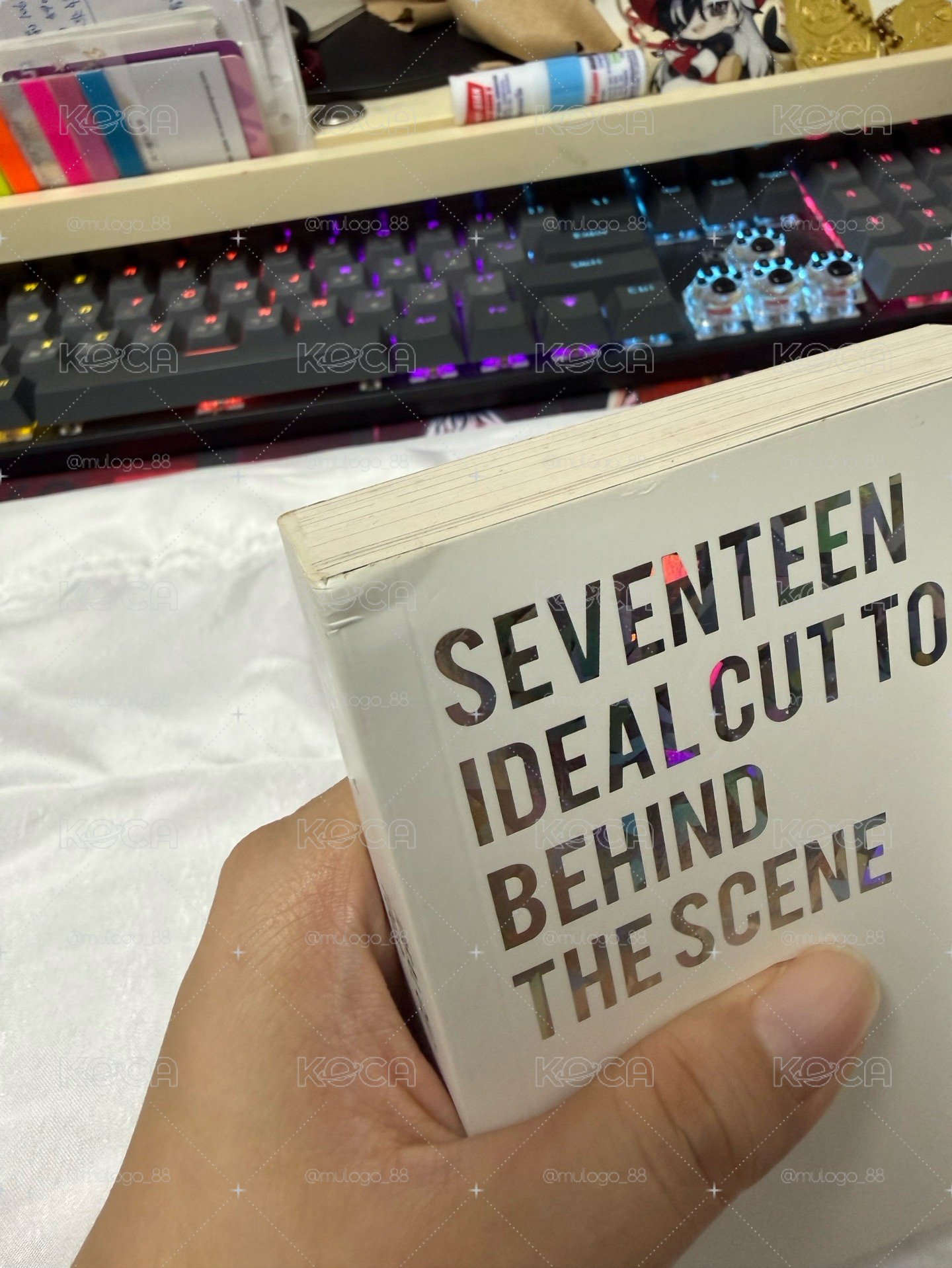 IDEAL CUT寫真