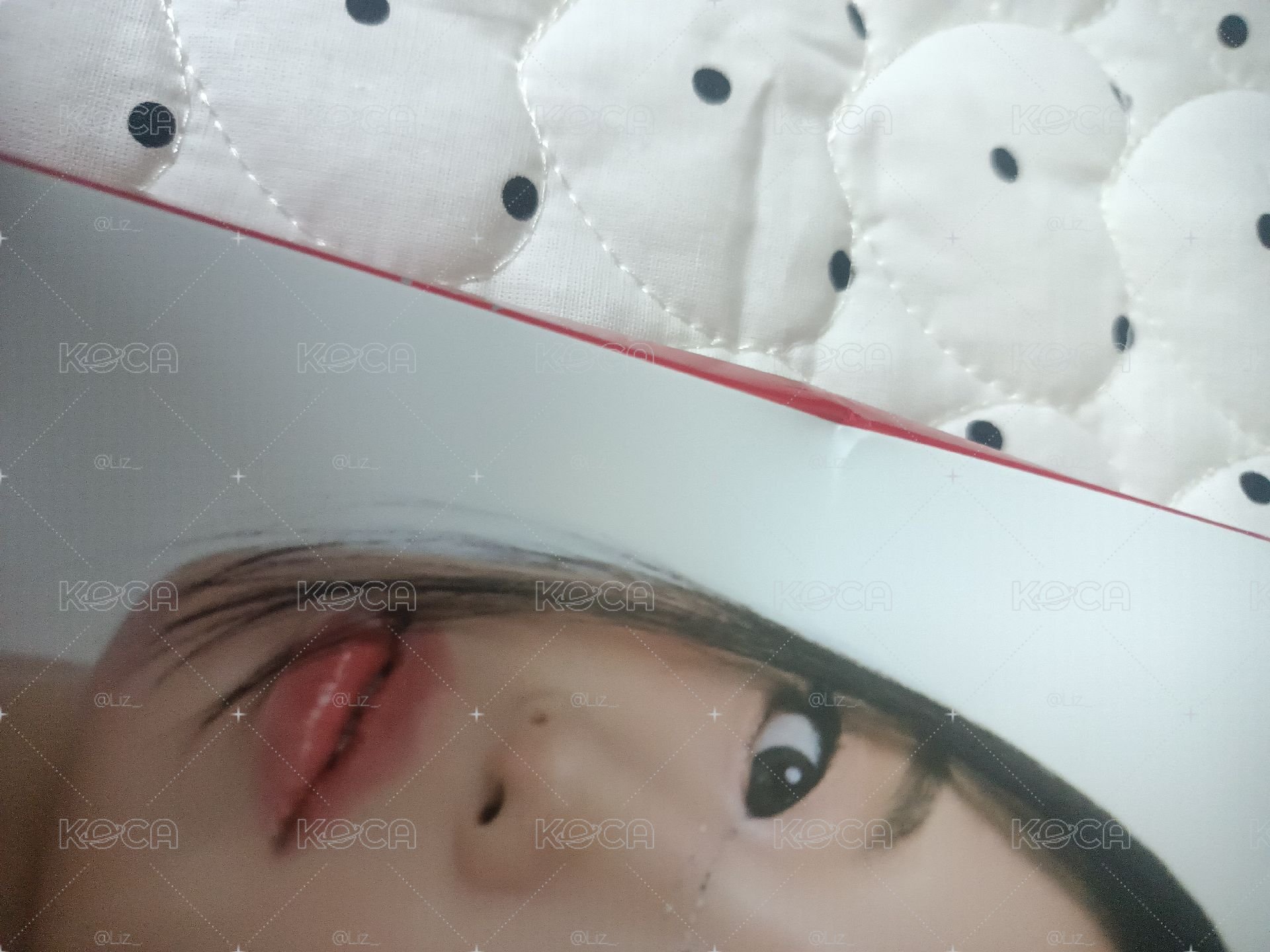 寶怪