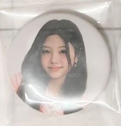 沅禧勳章