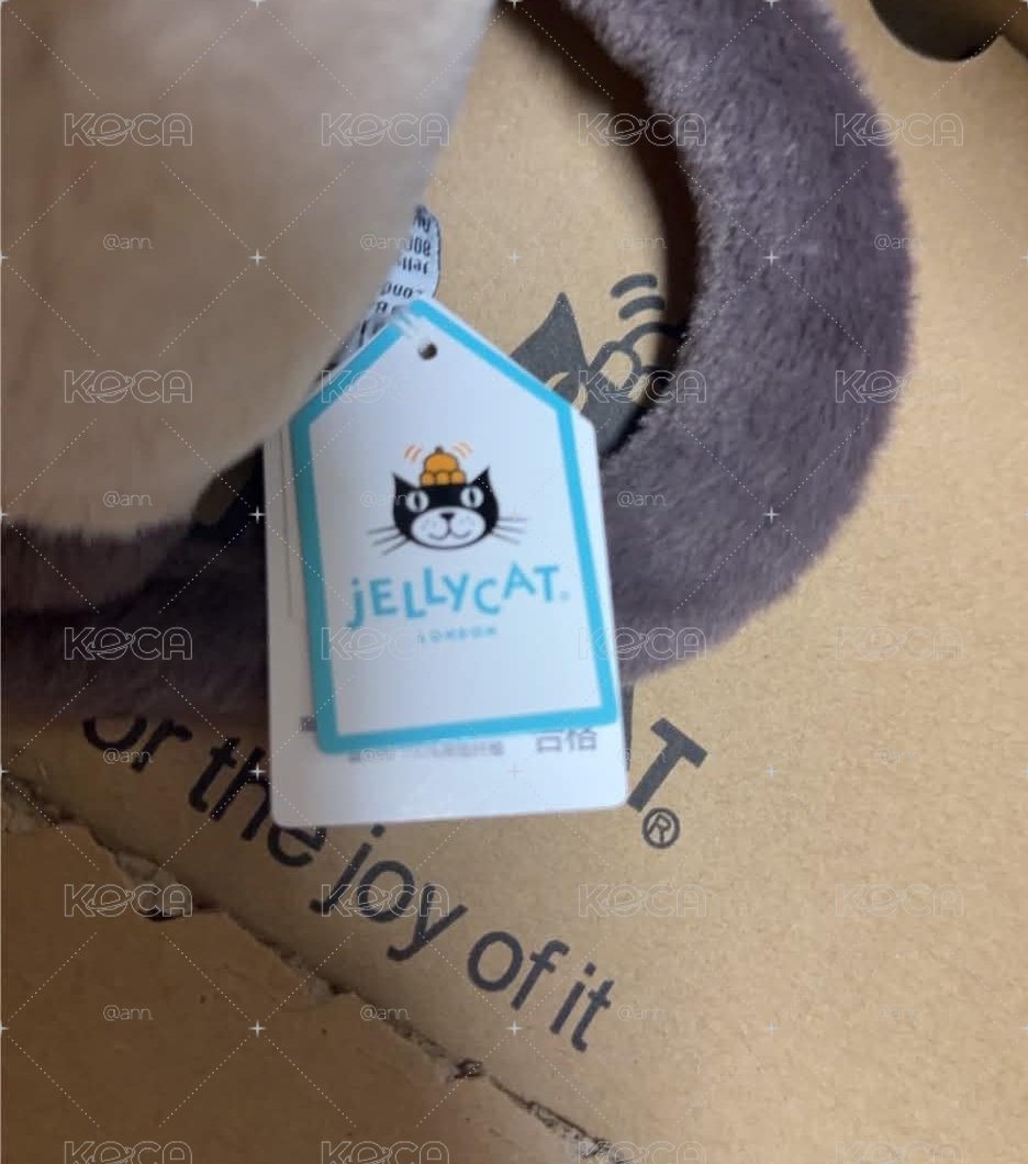 絕版暹羅貓🐈🐈‍⬛