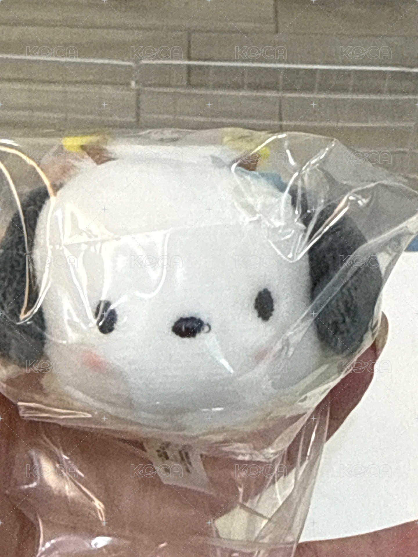 帕恰狗2️⃣小損