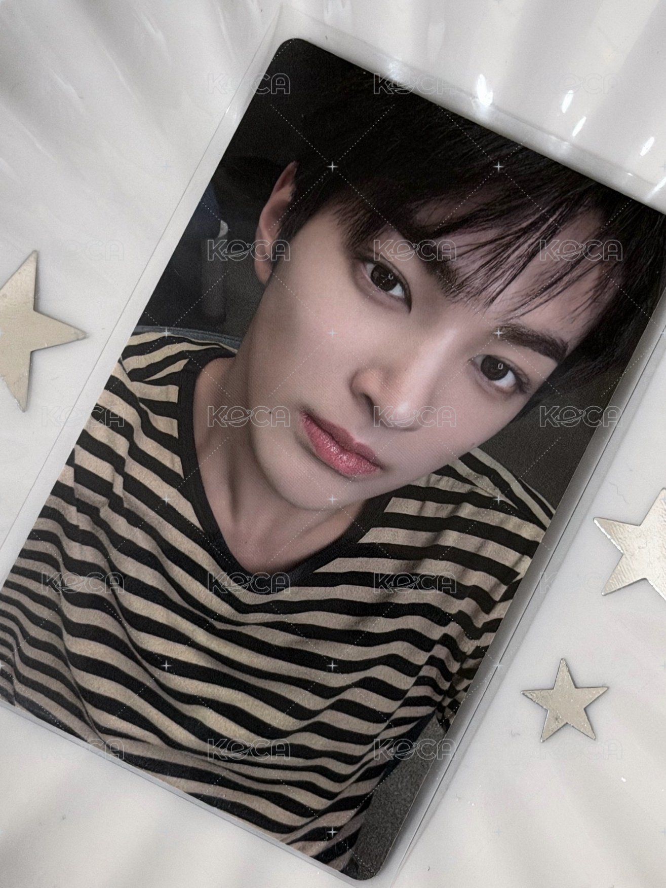 蜜蜂小狗勾🐝🦮