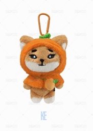🦊