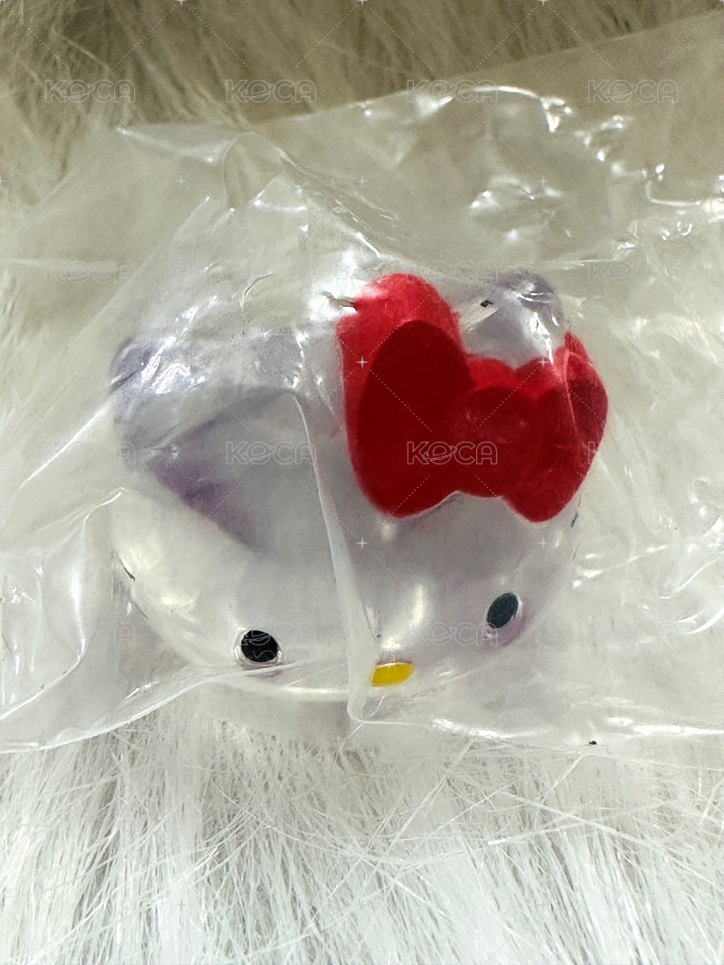 kitty