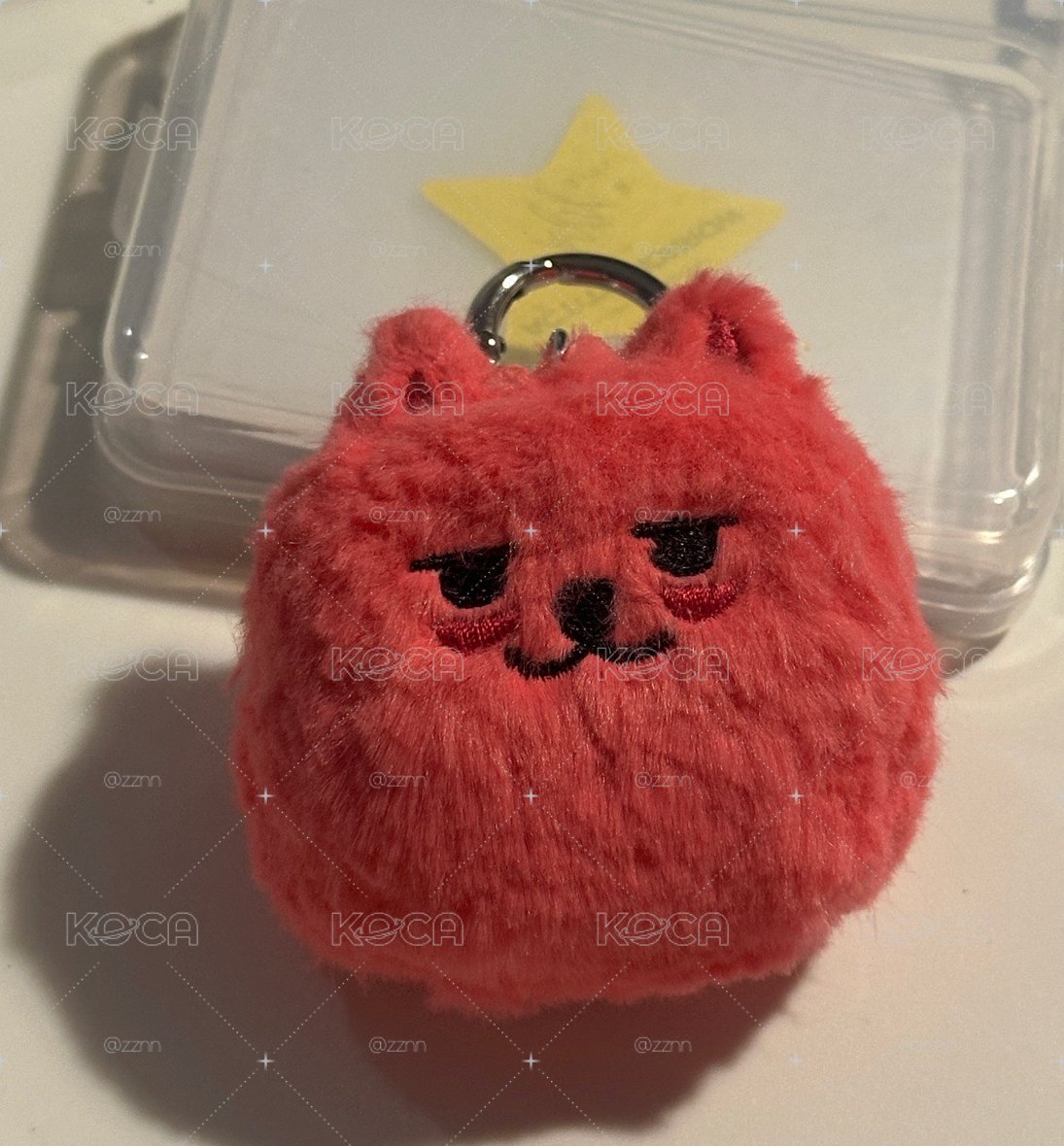 有寵物美容過的火龍果猛 送全員星星紙花
