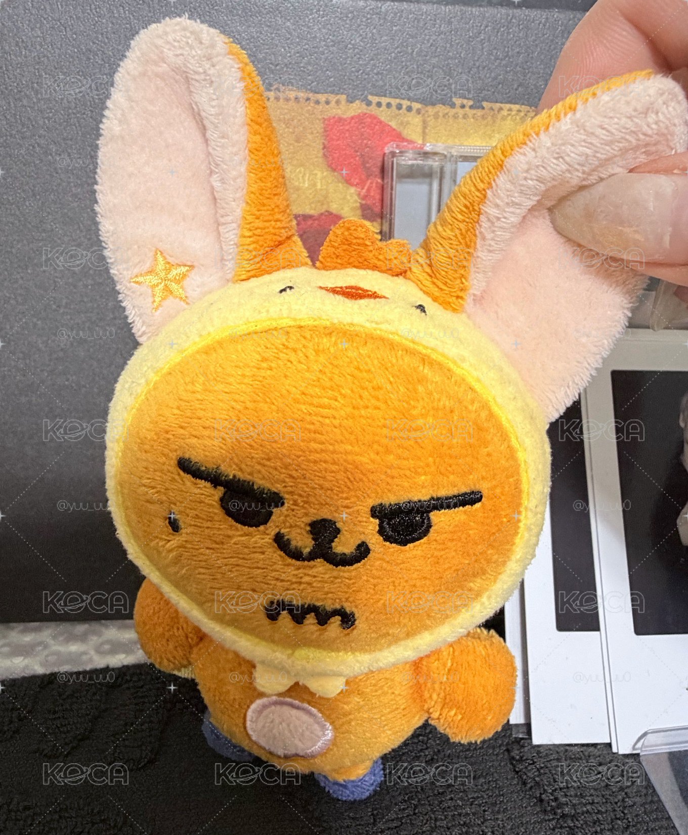 送養黃春大王 🦊💢