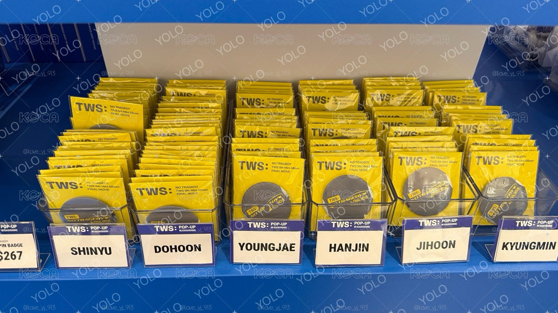 現貨 TWS 大扇 姓名徽章 耳機包 貓貓頭 高雄演唱會前收得到