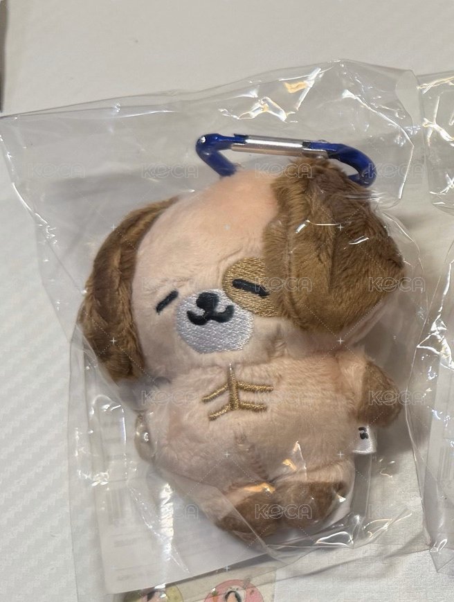海狗