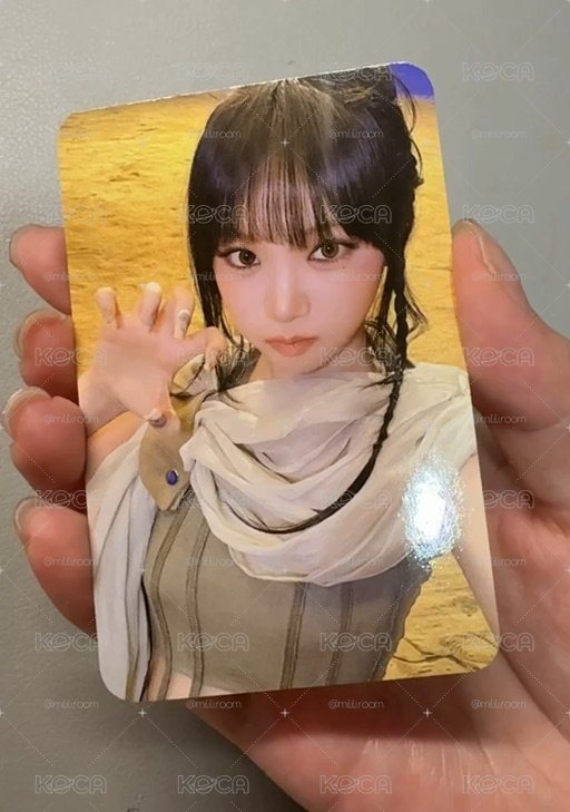 Yes24沙漠貓爪采