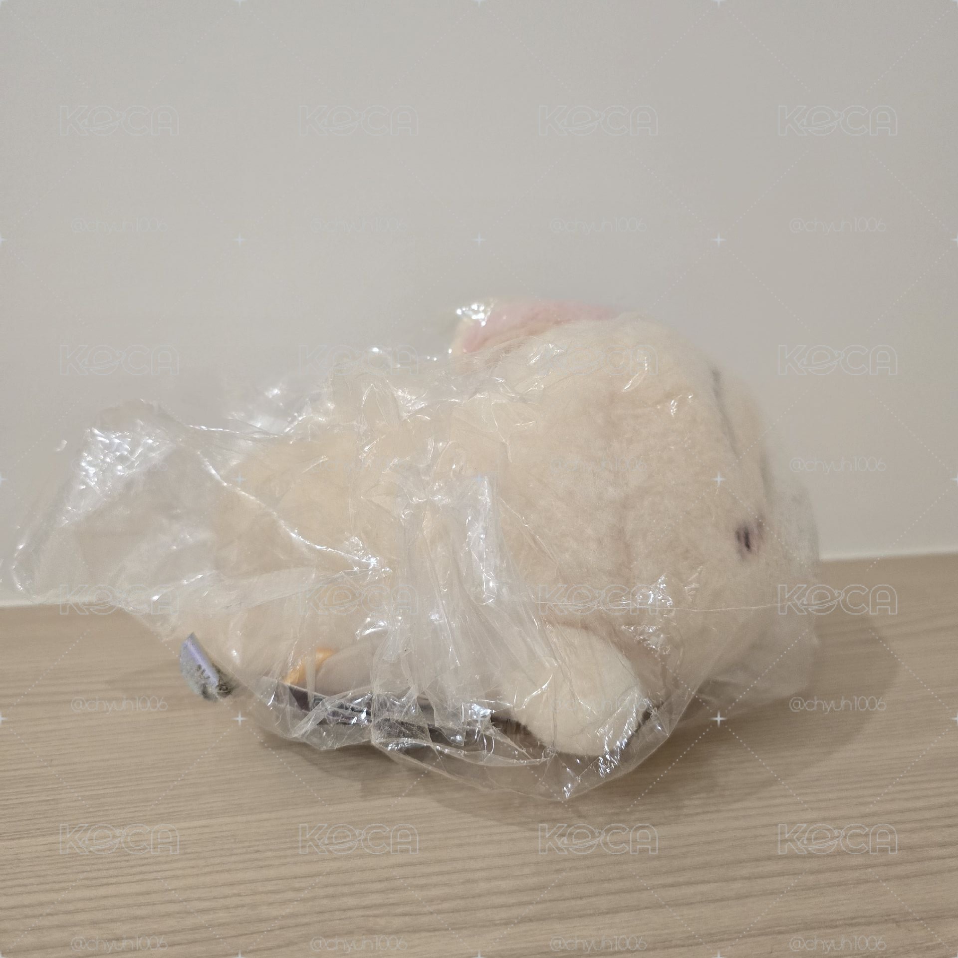 趴姿 毛絨絨 兔兔