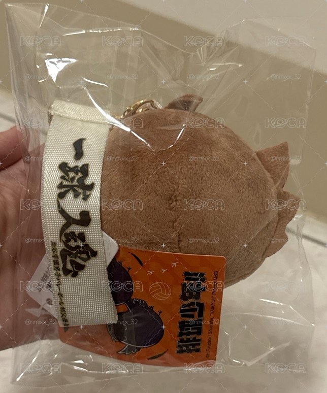 赤葦京治頭型玩偶 3英吋