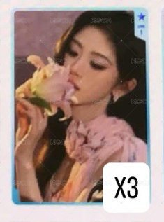 一星鞠聞花