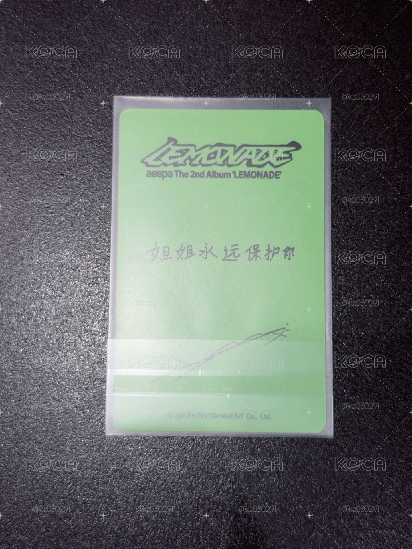 LM 京東冬