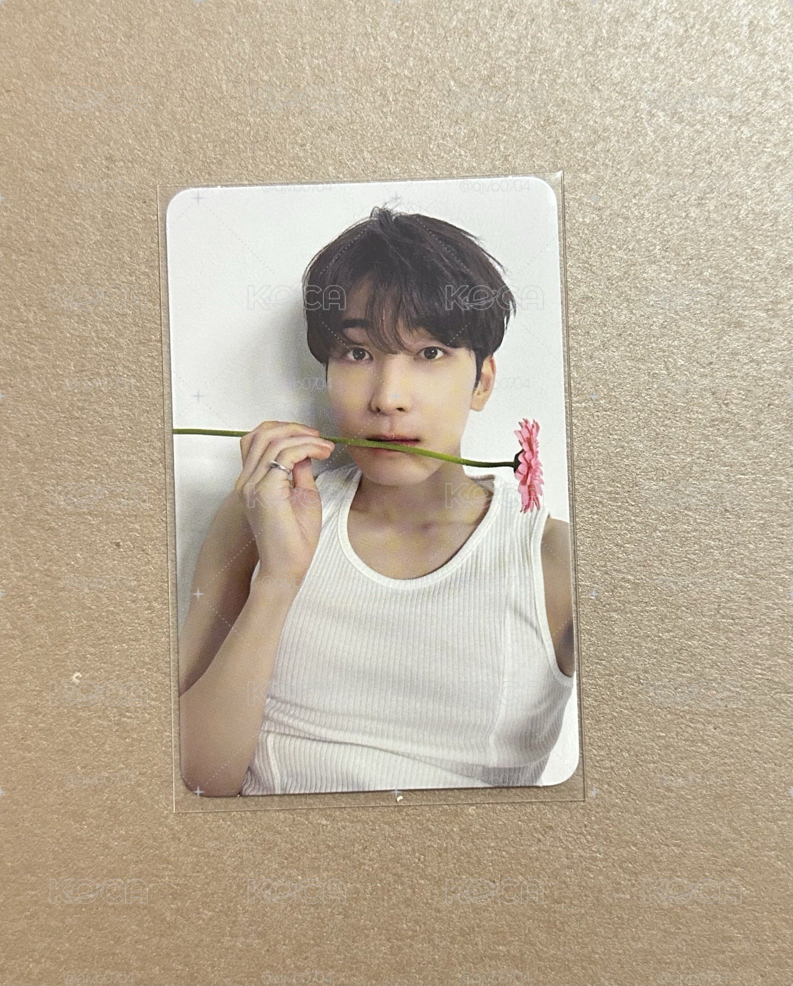 精選專 CARAT ver. 圓