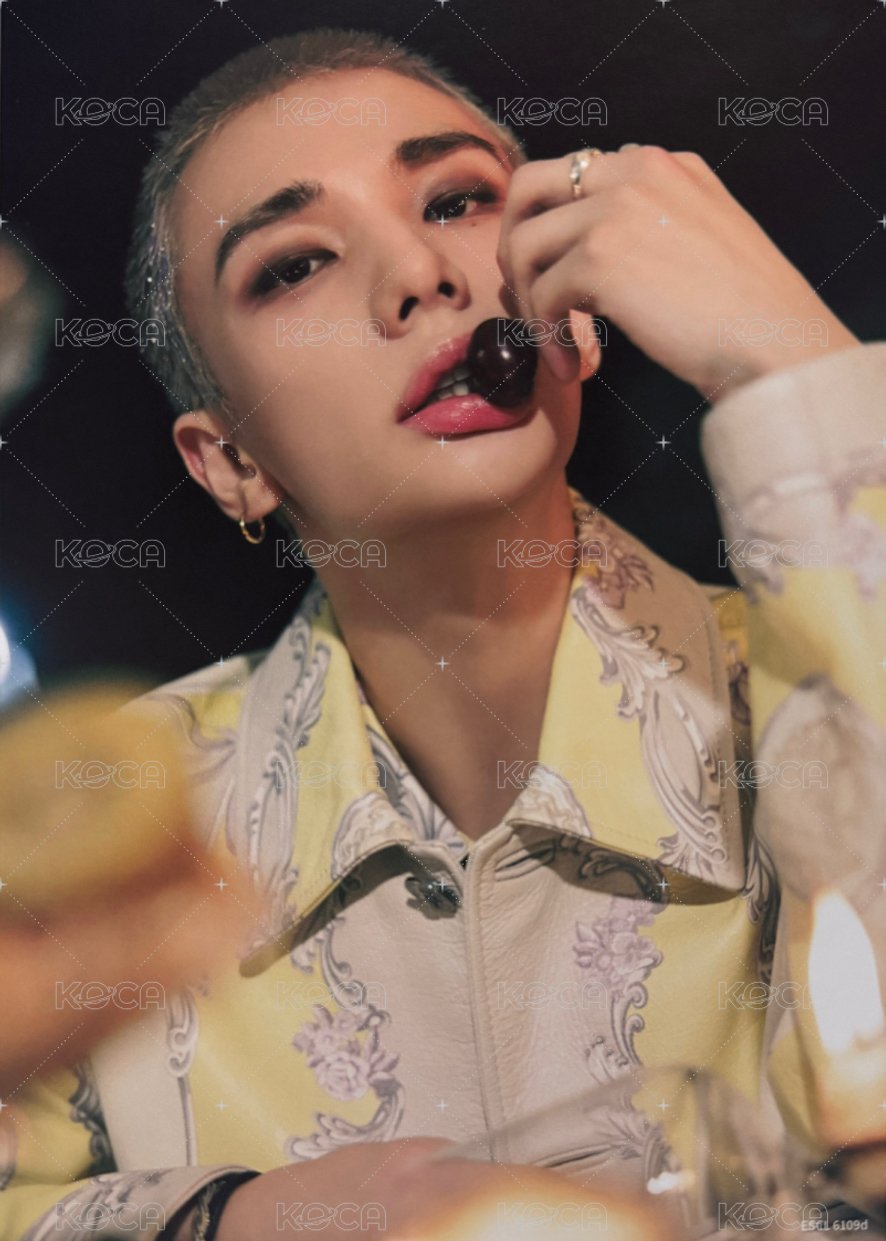 Hollow 期間生產限定盤初回 明信片 固配 背面