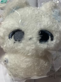 椰椰