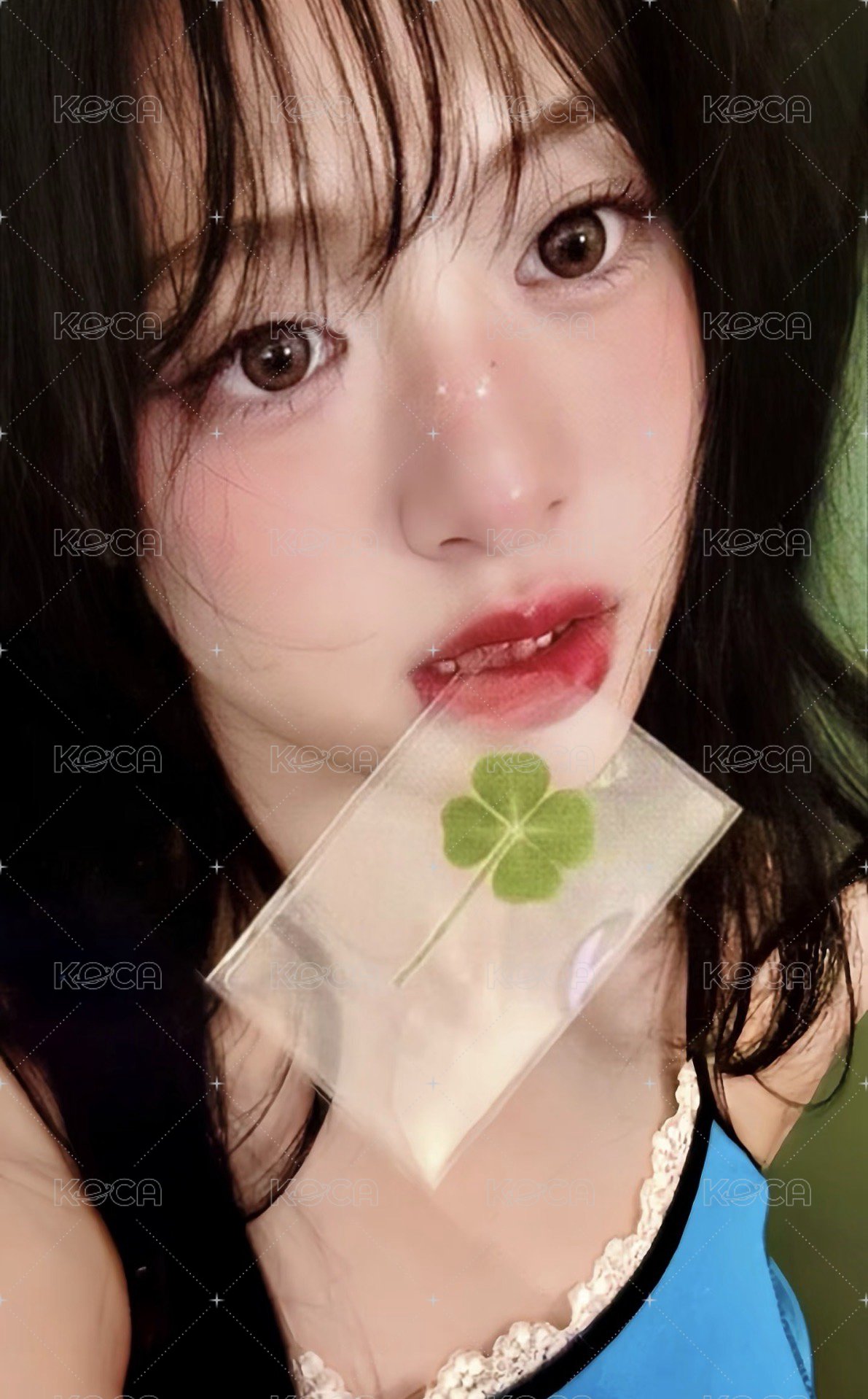 DRIP wvs 幸運卡 白色情人節 Ver.B 正面