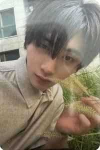 The Action wvs sc A版 直播卡 