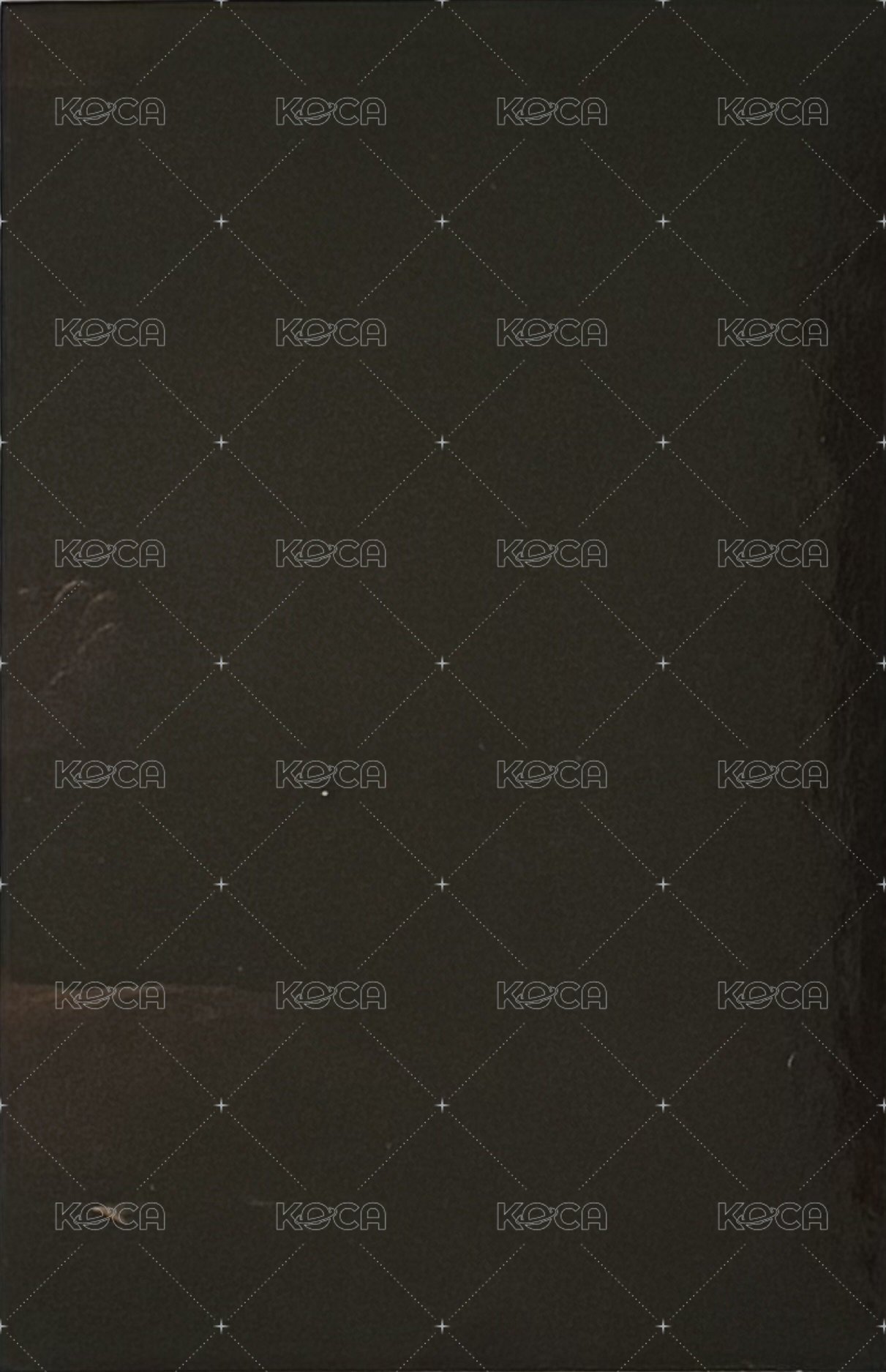 迷七 專輯卡  背面