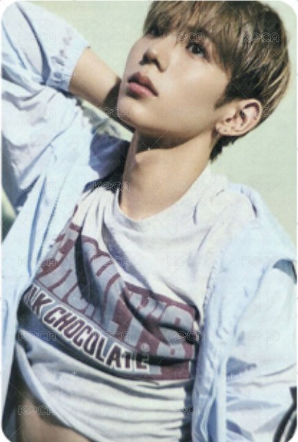 RIIZING 專輯卡 PP版 隨機卡 正面