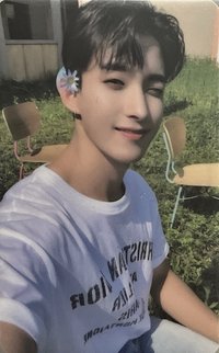 MINI8 pst 特典卡 ｜ LD特典