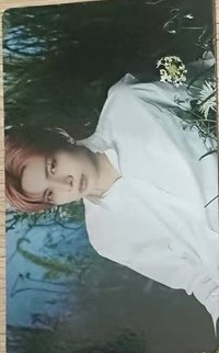 WTL FINAL wvs 隨機卡 羲02/08 官拍卡