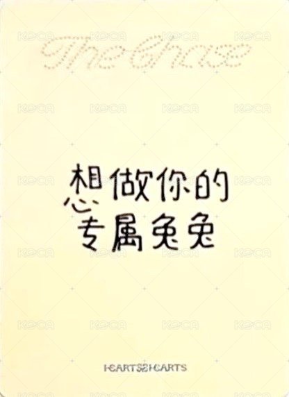 單一 yzy 2.0 特典卡  背面
