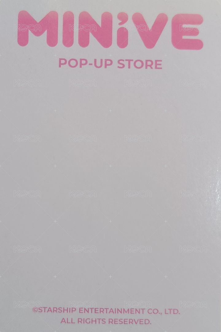 MINIVE PARK 快閃店 周邊卡 05 錢包卡 背面