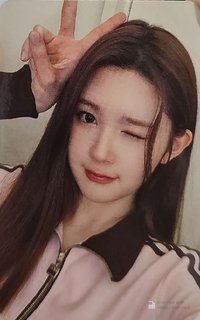 單一 sr 1.0 簽售卡 