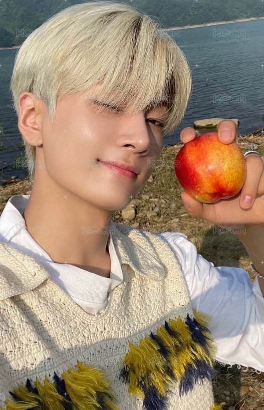 迷五 專輯卡 ENGENE ver. 蘋果星 正面