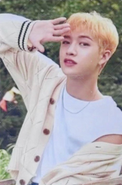 NACIFIC 代言卡 1.0 正面