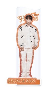 Follow Again 日巡 立牌 