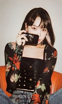 ANTIFRAGILE wvs PB預售 特典卡 