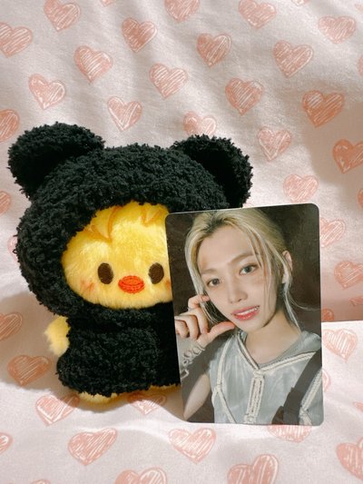 GIANT FC追加 菲菲🐣